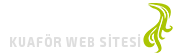 Erkek Kuaförü Web Sitesi - Kuaför Web Sitesi